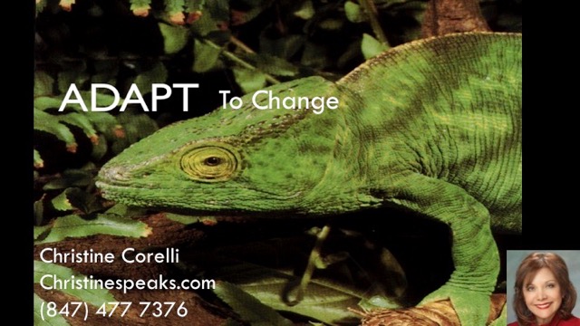 Adapting to Change